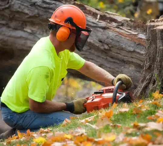 tree services Oxon Hill